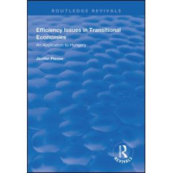 Efficiency Issues in Transitional Economies Efficiency Issues in Transitional Economies