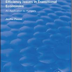 Efficiency Issues in Transitional Economies