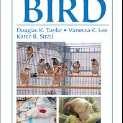 The Laboratory Bird The Laboratory Bird