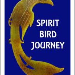 Spirit Bird Journey