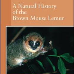 A Natural History of the Brown Mouse Lemur