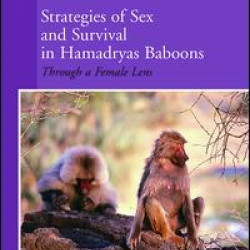 Strategies of Sex and Survival in Female Hamadryas Baboons