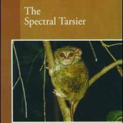 The Spectral Tarsier