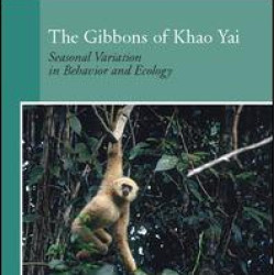 The Gibbons of Khao Yai