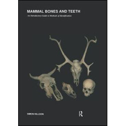 Mammal Bones and Teeth Mammal Bones and Teeth