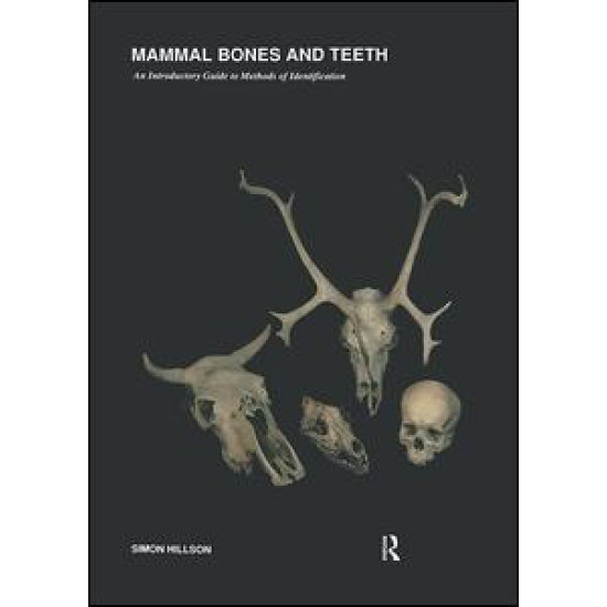 Mammal Bones and Teeth