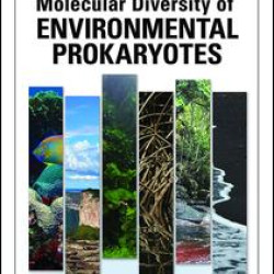 Molecular Diversity of Environmental Prokaryotes