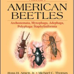 American Beetles, Volume I