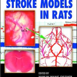 Manual of Stroke Models in Rats