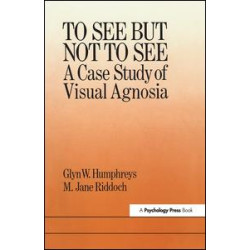 To See But Not To See: A Case Study Of Visual Agnosia