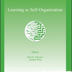 Learning As Self-organization