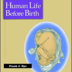 Human Life Before Birth Human Life Before Birth