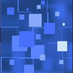 Meeting The Challenges of Primary Schooling