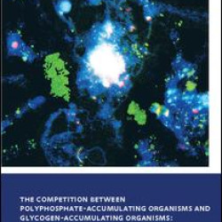 The Competition between Polyphosphate-Accumulating Organisms and Glycogen-Accumulating Organisms: Temperature Effects and Modelling