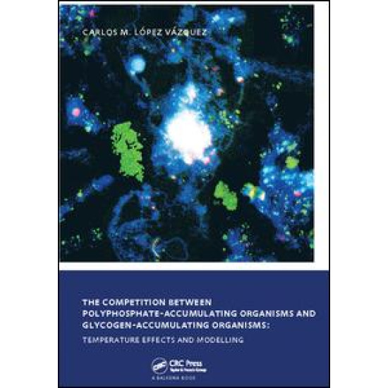 The Competition between Polyphosphate-Accumulating Organisms and Glycogen-Accumulating Organisms: Temperature Effects and Modelling