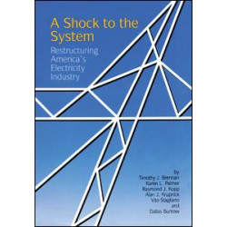A Shock to the System A Shock to the System