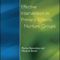 Effect Intervention in Primary School