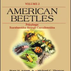 American Beetles, Volume II