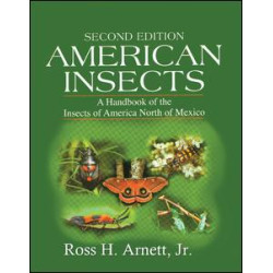 American Insects American Insects