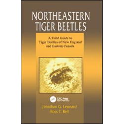 Northeastern Tiger Beetles