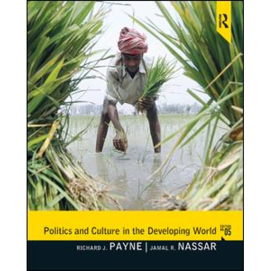 Politics and Culture in the Developing World