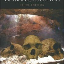 Understanding Human Evolution