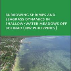 Burrowing Shrimps and Seagrass Dynamics in Shallow-Water Meadows off Bolinao (New Philippines)