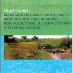 Fingerponds: Managing Nutrients & Primary Productivity For Enhanced Fish Production in Lake Victoria’s Wetlands Uganda Fingerponds: Managing Nutrients & Primary Productivity For Enhanced Fish Production in Lake Victoria’s Wetlands Uganda