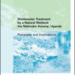 Wastewater Treatment by a Natural Wetland: the Nakivubo Swamp, Uganda