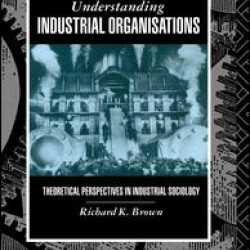 Understanding Industrial Organizations
