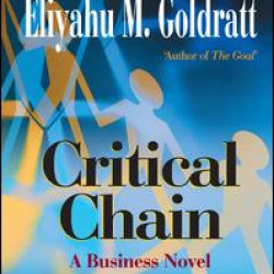 Critical Chain Critical Chain