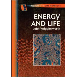Energy And Life Energy And Life