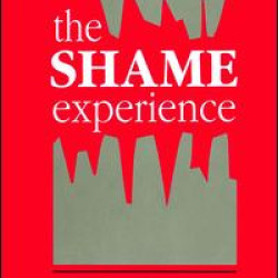 The Shame Experience The Shame Experience