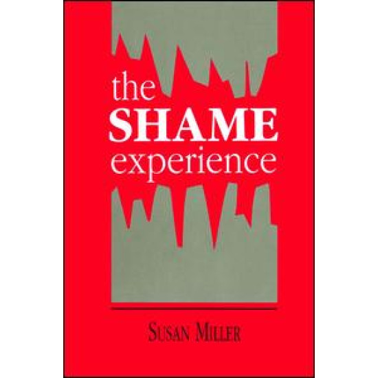 The Shame Experience