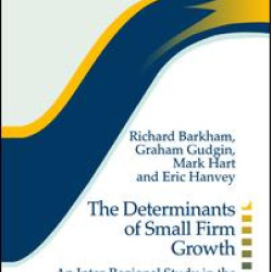 The Determinants of Small Firm Growth The Determinants of Small Firm Growth