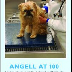 Angell at 100 Angell at 100