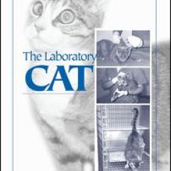The Laboratory Cat