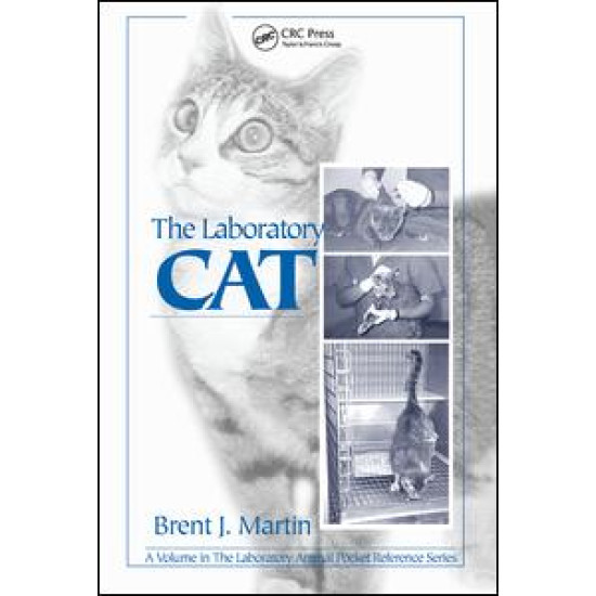 The Laboratory Cat The Laboratory Cat