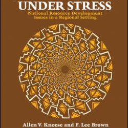The Southwest Under Stress The Southwest Under Stress