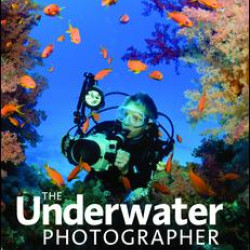 The Underwater Photographer