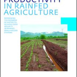 Water Productivity in Rainfed Agriculture Water Productivity in Rainfed Agriculture