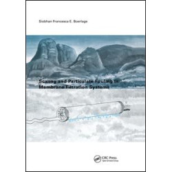 Scaling and Particulate Fouling in Membrane Filtration Systems