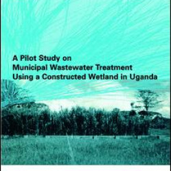 A Pilot Study on Municipal Wastewater Treatment Using a Constructed Wetland in Uganda A Pilot Study on Municipal Wastewater Treatment Using a Constructed Wetland in Uganda