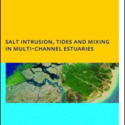 Salt Intrusion, Tides and Mixing in Multi-Channel Estuaries