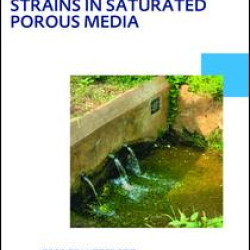 Transport of multiple Escherichia coli strains in saturated porous media