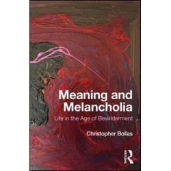 Meaning and Melancholia