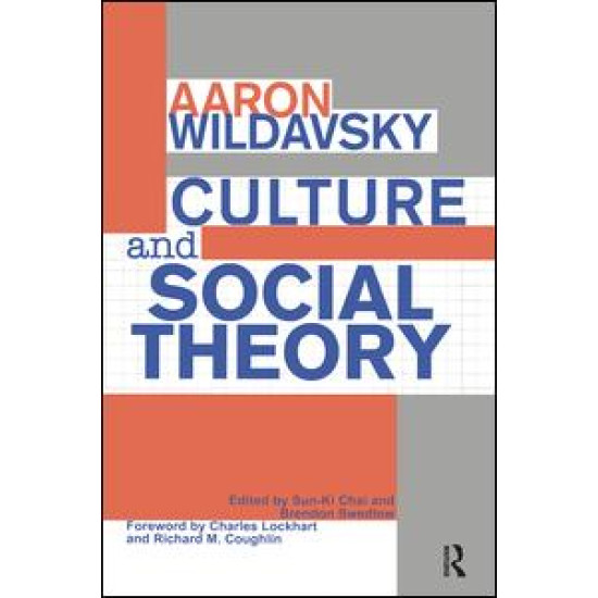 Culture and Social Theory