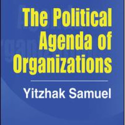 The Political Agenda of Organizations The Political Agenda of Organizations
