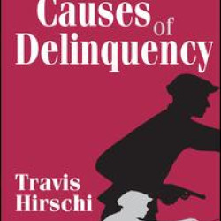 Causes of Delinquency Causes of Delinquency