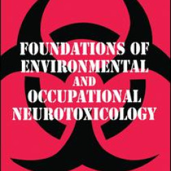 Foundations of Environmental and Occupational Neurotoxicology